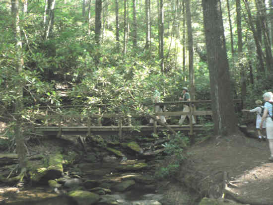 Crossing the creek near the start of the trail.