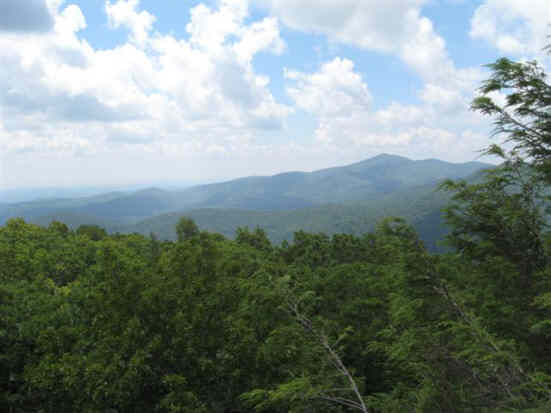 View one from the tower.