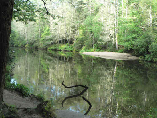A very peaceful section of the Chattooga River.