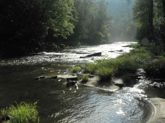 Morning view up the river!