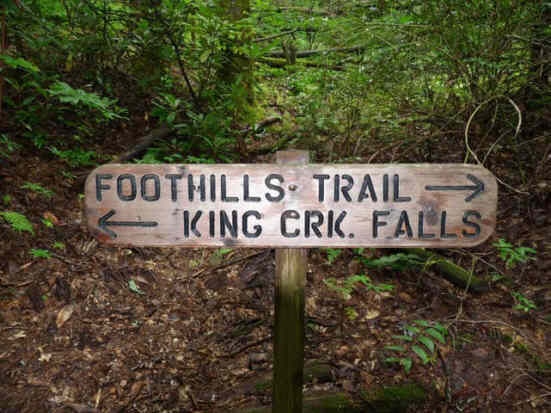 On the way back, we took the side trail to King Creek Falls.