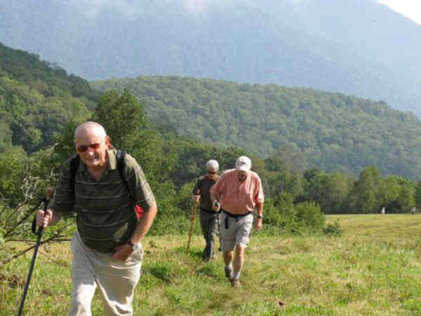 Nearing the summit of Siler Bald.