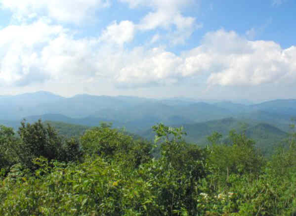 View one!