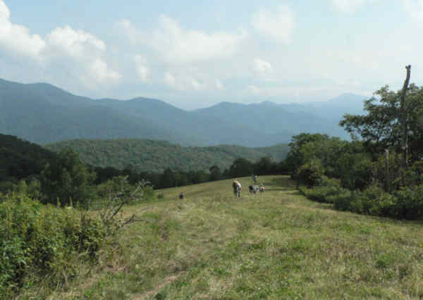 Headed back down the grassy slope.