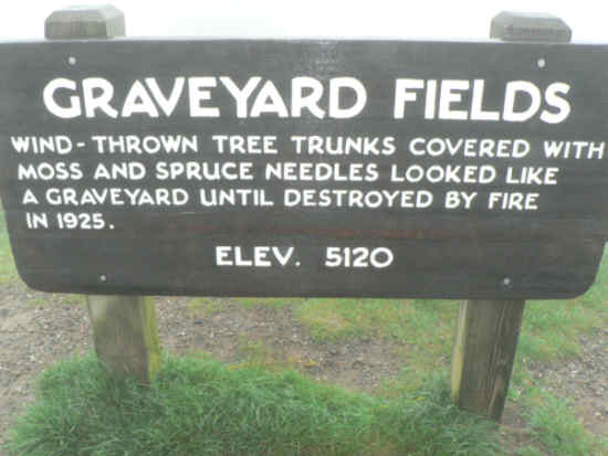 Graveyard Fields at milepost 418.8 - Blueridge Parkway.