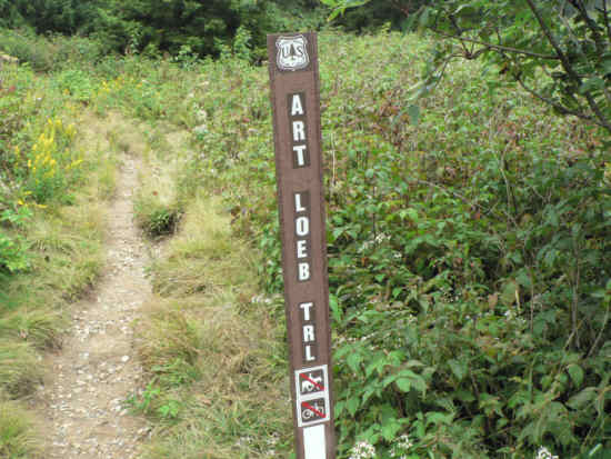 Next, The Art Loeb Trail.
