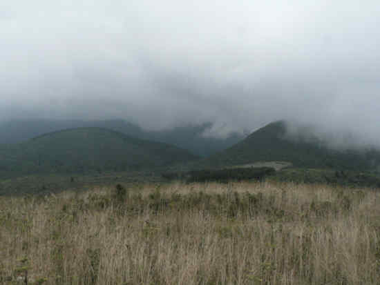 Foggy views near the Summit.