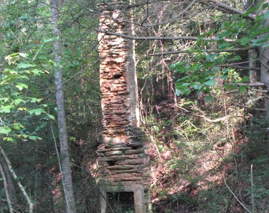 The rock fireplace/chimney of an old home place.