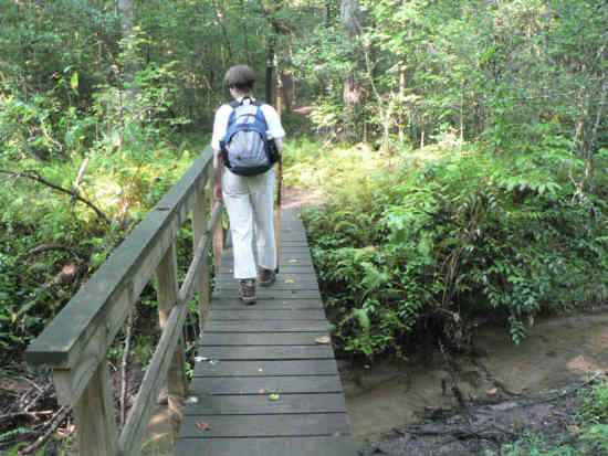 All the creeks have nice footbridges with handrail.