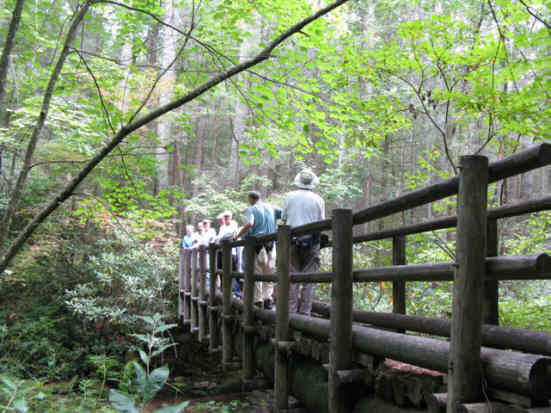 We walked out onto the East Fork bridge to get a view up and down the river.
