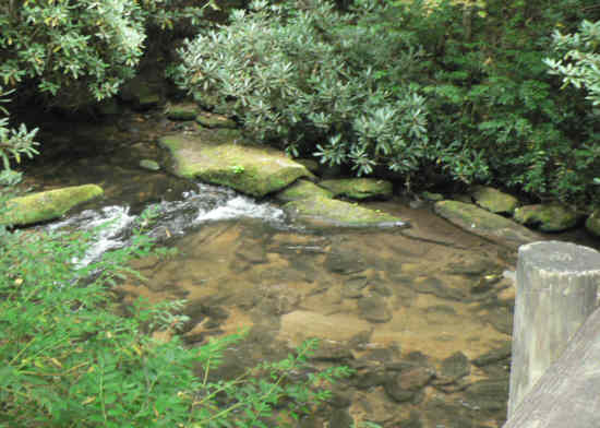 Looking up the East Fork Chattooga River.