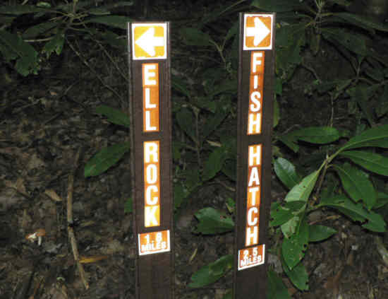 Trail mile markers at the junction of the East Fork with the main Chattooga River.
