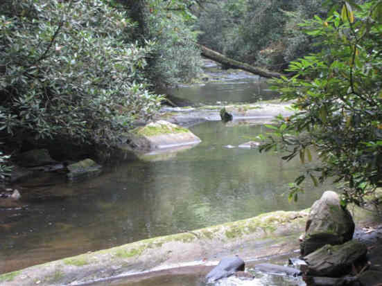 A beautiful calm spot on the Chattooga.