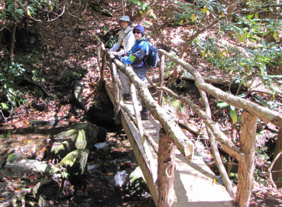 Rustic bridge creek crossing early into the hike.