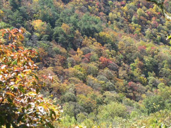 It was great to see beautiful fall color!