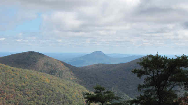 Nice views from Wolf Laurel Top!