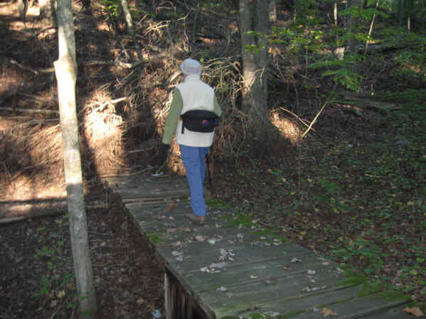 There are lots of foot-bridges over creeks and gulleys.