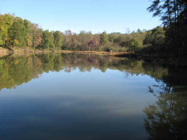 100 acre Lake Russell is in the Chattahoochee - Oconee National Forest System.