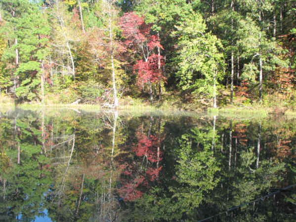 Colorful reflections!