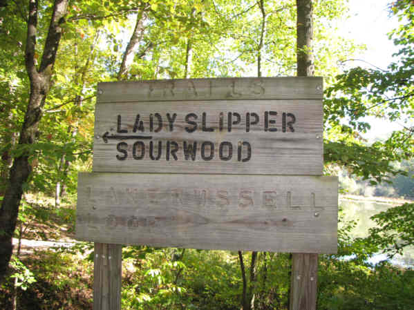 After finishing the Lake Russell Loop, we head over to the Sourwood Loop Trail.