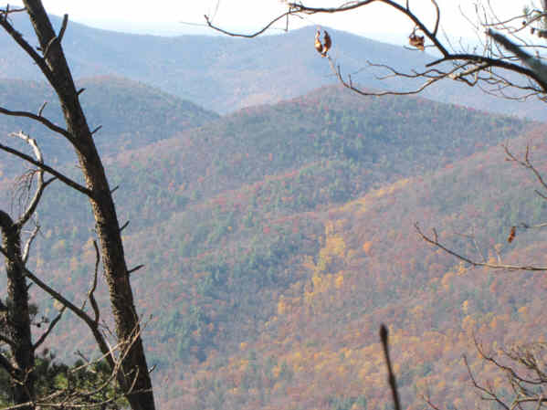 Still a few nice spots of color.