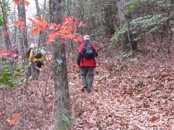 Most of the leaves have fallen but there are a few colorful spots left.
