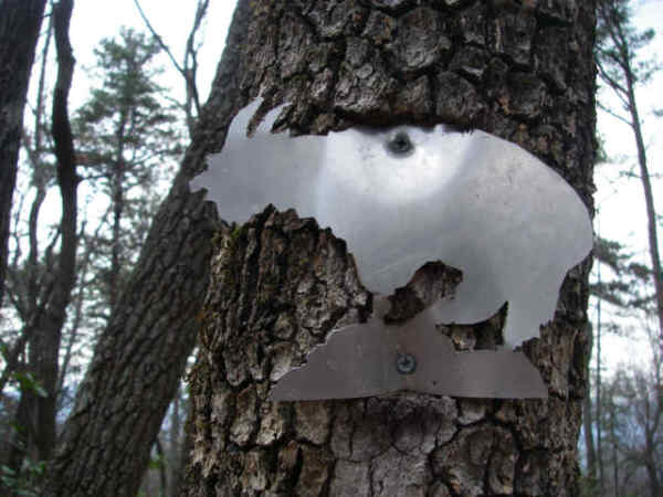 The side trail is named the Goat Trail. It leads from Camp Rainey Mountain to Big Rock.