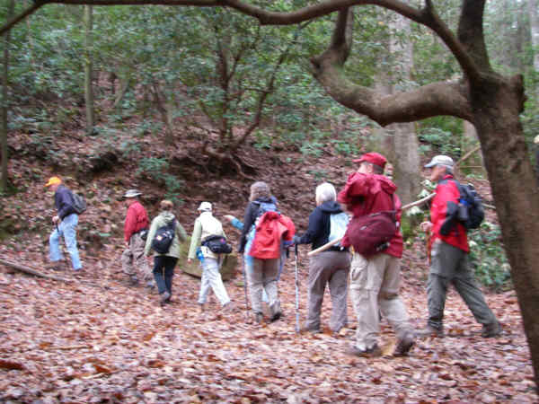 Another great day for a hike!