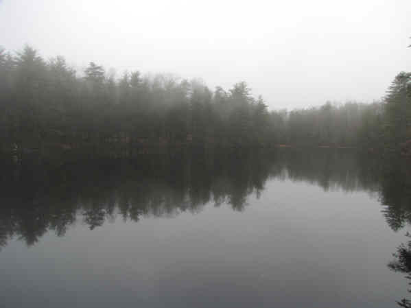 Dockery Lake with morning fog.