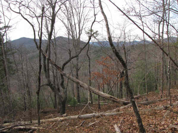 Typical view along the trail.