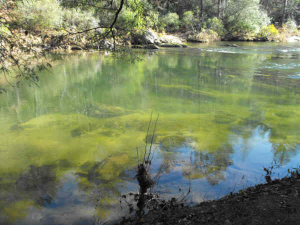 Beautiful crystal clear Chattooga River at our lunch spot for the day!
