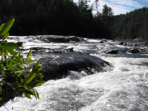 The "Wild and Scenic" Chattooga River!