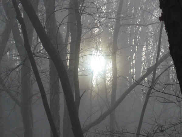 A beautiful morning with the sun trying to burn through the fog.