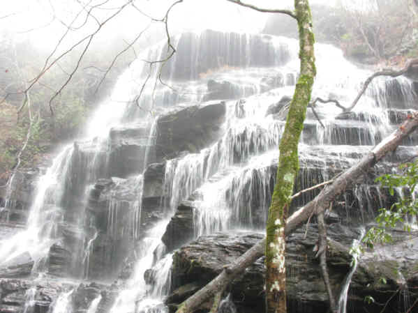 Yellow Branch falls was magnificent!