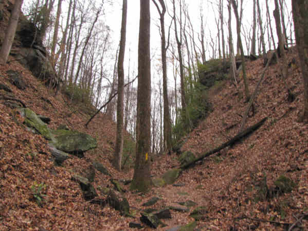This trail follows the old railroad bed!