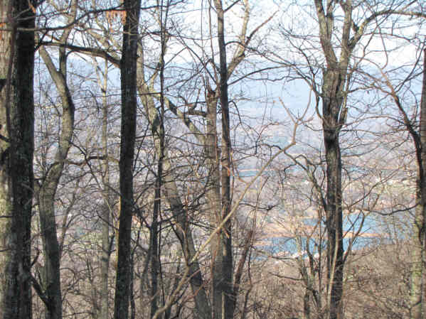 Another view along the trail.