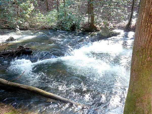 Lots of water along the trail!