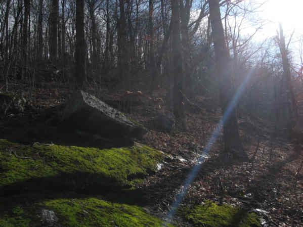 Sunbeam cutting through the morning haze.