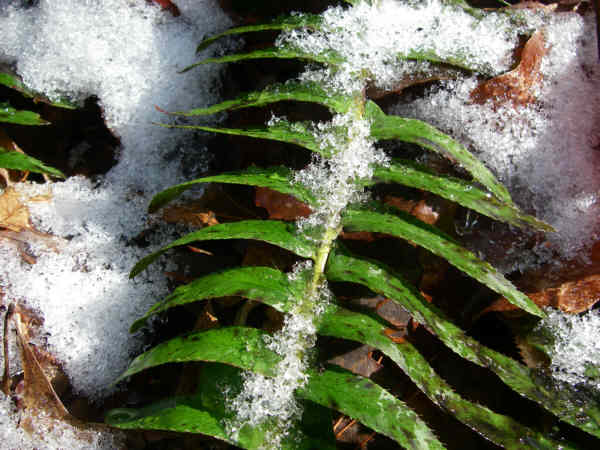 Signs of Winter!
