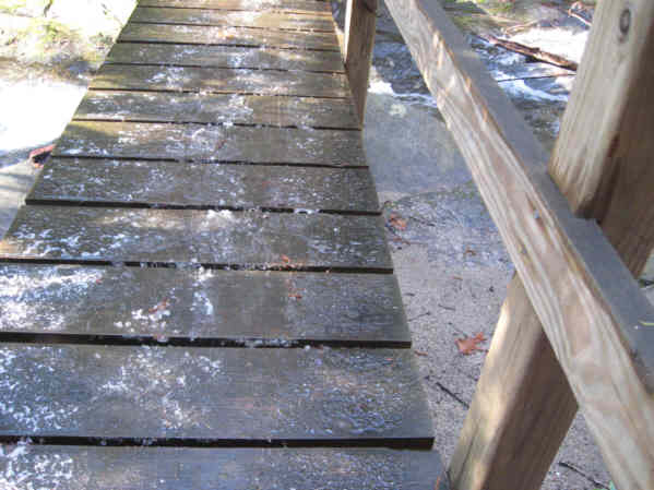 Icy footbridge at Martin Creek.