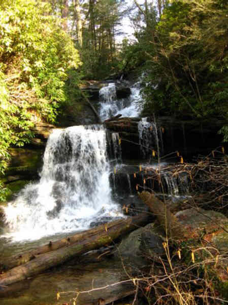 Martin Creek Falls!