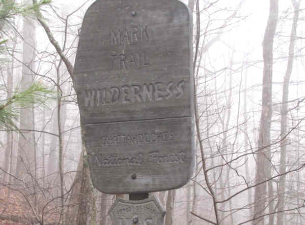 Much of the hike was in the Mark Trail Wilderness Area.