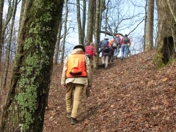 Lots of steep climbing as we head up the Jacks Knob Trail.