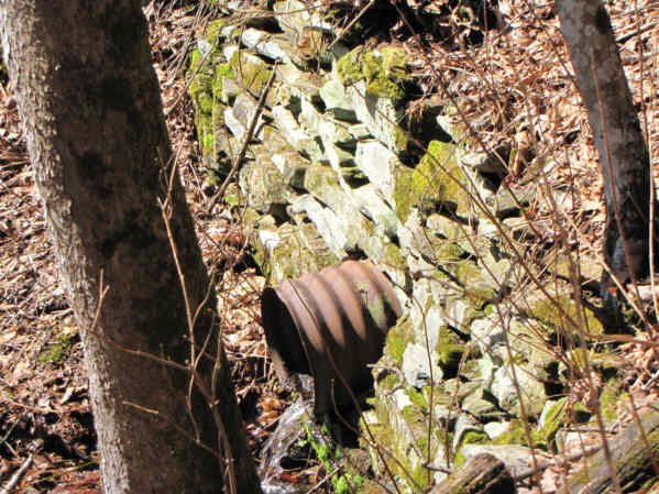 On the old roadbed portion of the trail we find several old stone culverts built by the C.C.C. in the 1930's.