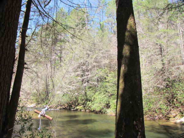 Someone has put up a rope swing here.