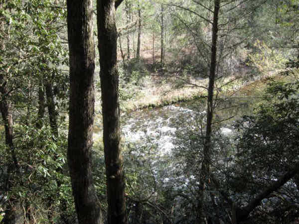 Looking down on the Chattooga River.