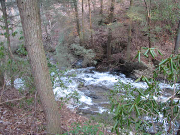 Beautiful noisy rapids on Dicks Creek.