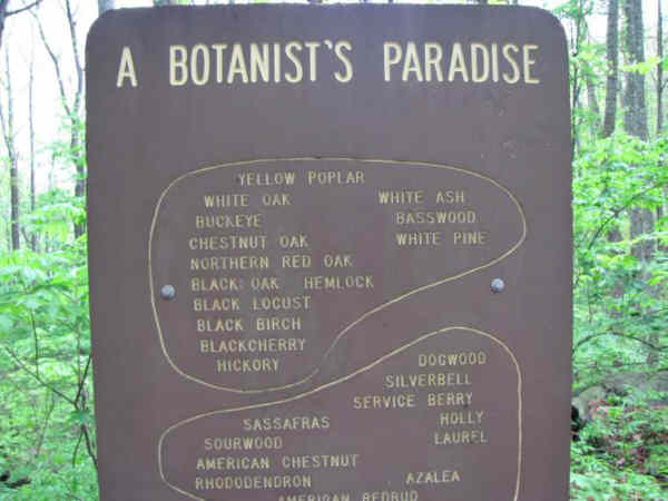 None planted by man!