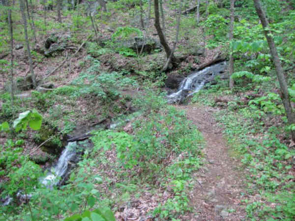 Here, the trail crosses a beautiful cascading waterfall.