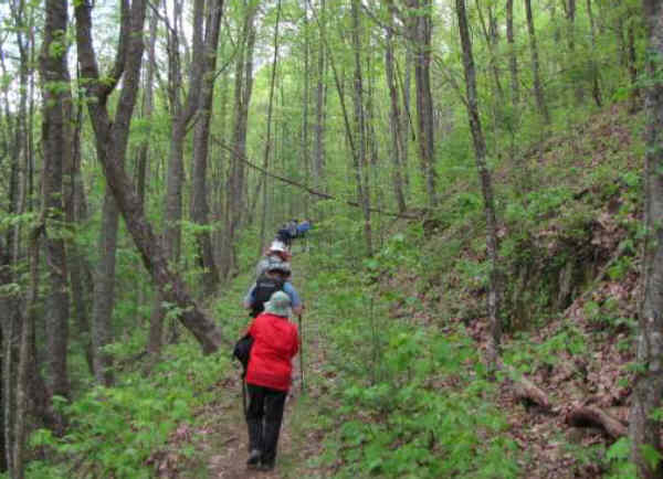 Another great day for a hike!
